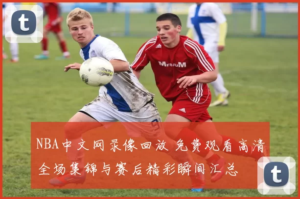 NBA中文网录像回放 免费观看高清全场集锦与赛后精彩瞬间汇总