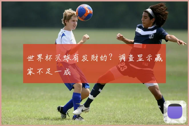 世界杯买球有发财的?调查显示赢家不足一成