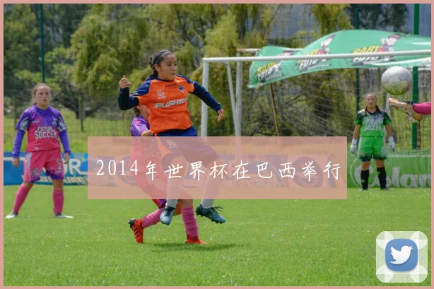 2014年世界杯在巴西举行