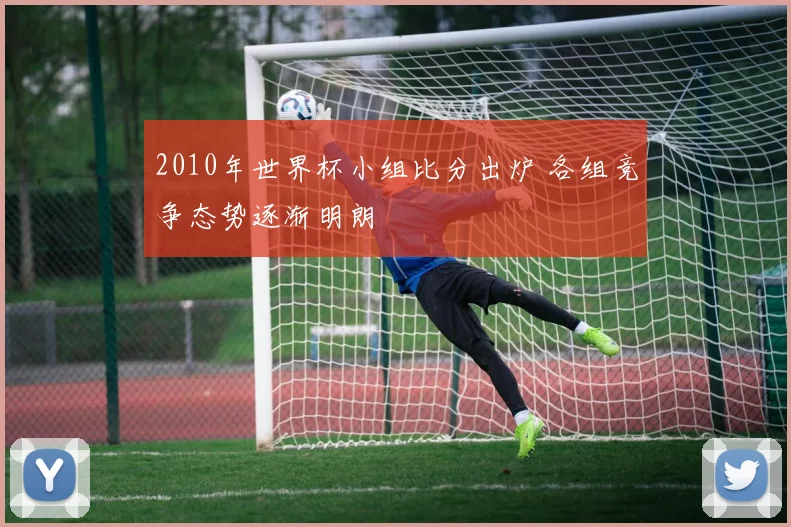 2010年世界杯小组比分出炉 各组竞争态势逐渐明朗