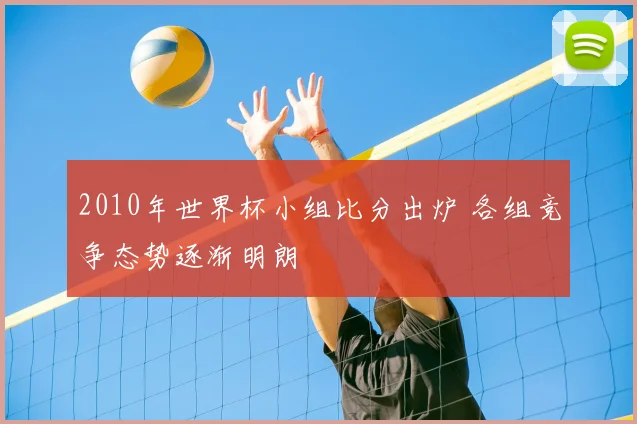 2010年世界杯小组比分出炉 各组竞争态势逐渐明朗